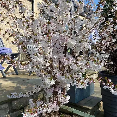 度假居 Idyllic Sleeps 4 Pet Friendly