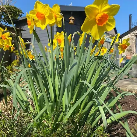 Idyllic Sleeps 4 Pet Friendly 度假居
